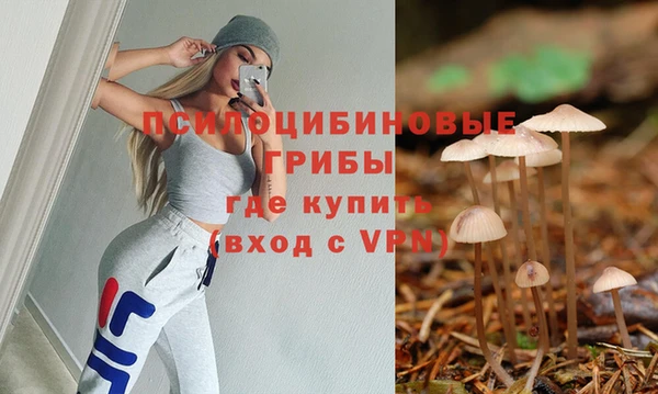 мяу мяу мука Дмитровск