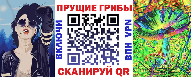 Галлюциногенные грибы прущие грибы  omg зеркало  Бородино 
