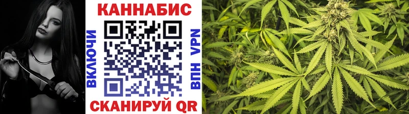 что такое наркотик  Бородино  Шишки марихуана VHQ 